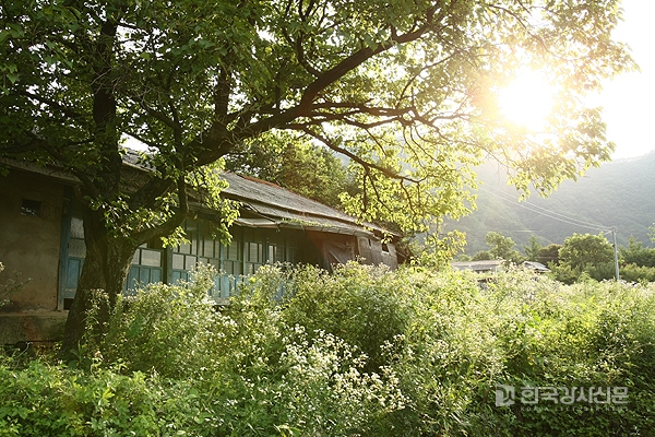 24절기 - 하지 날짜는 6월 22일경이며, 동지와 반대로 낮이 가장 길고, 음식으로 감자를 먹는 풍습이 있는 절기