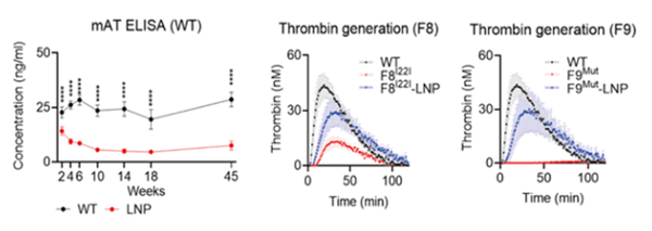 그림 1. LNP-유전자가위에 의한 혈중 안티트롬빈의 장기적인 조절 효과(왼쪽) 및 혈우병 모델(A형-가운데; B형-오른쪽)에서의 트롬빈 형성 개선 효과 [사진출처=이화여대]