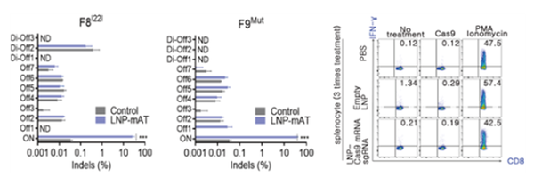 그림 2. 혈우병 모델에서(A형-왼쪽; B형-가운데) LNP-유전자가위에 의한 비표적(Off-target) 교정이 검출되지 않음. LNP-유전자가위의 반복 투여에 의해서도 낮게 유지되는 T 세포 면역반응 (오른쪽) [사진출처=이화여대]