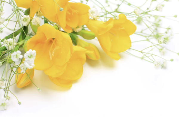 [사진출처=캔바 이미지]