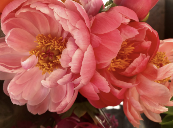 [사진출처=캔바 이미지]