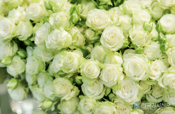 [사진출처=캔바 이미지]