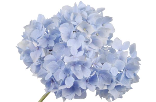 [사진출처=캔바 이미지]