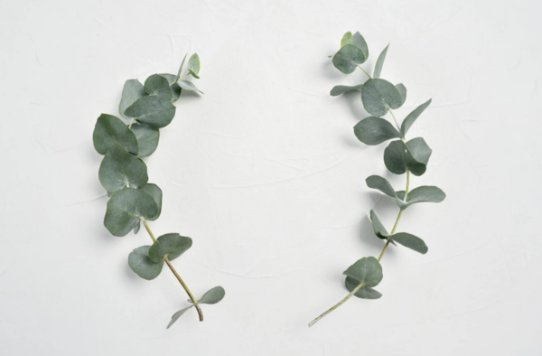 [사진출처=캔바 이미지]