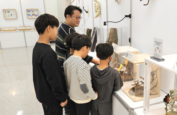 표본제작 체험[사진출처=대전시청]