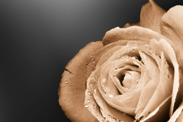 [사진출처=캔바 이미지]