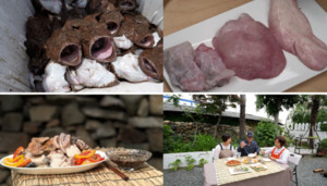 '한국인의 밥상' 소의 곁간, 아귀 턱살, 닭 목살, 오징어 입…특수 부위 맛의...