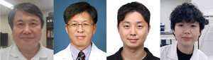 연세대학교 이한웅‧정양식 교수팀, 갈색지방의 새로운 체온조절 메커니... - 뉴스 썸네일 이미지