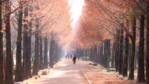 동네 한 바퀴 소요산·동두천 여행 관련 이미지