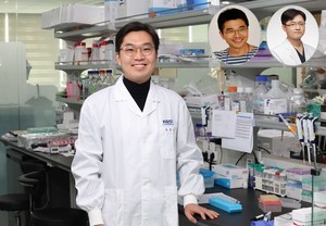 카이스트 이정호 교수팀, 재발률 높은 젊은 층 뇌암의 '진짜 시작점' 찾... - 뉴스 썸네일 이미지