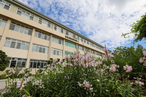 강원대학교 농업생명과학대학 식품환경융합학과, 'KOICA 전문인재 양성... - 뉴스 썸네일 이미지