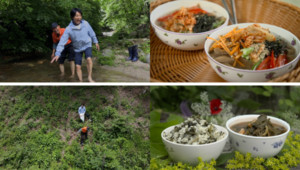 한국인의 밥상, 백두대간이 품은 여름의 맛 조명…곤드레·감자·고사리...