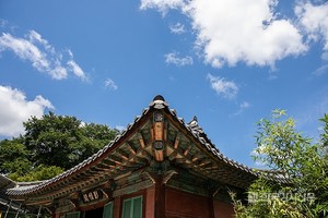 2026년 <b>입추</b> "가을의 시작을 알린다! 중복과 말복 사이에 위치한 24절기...